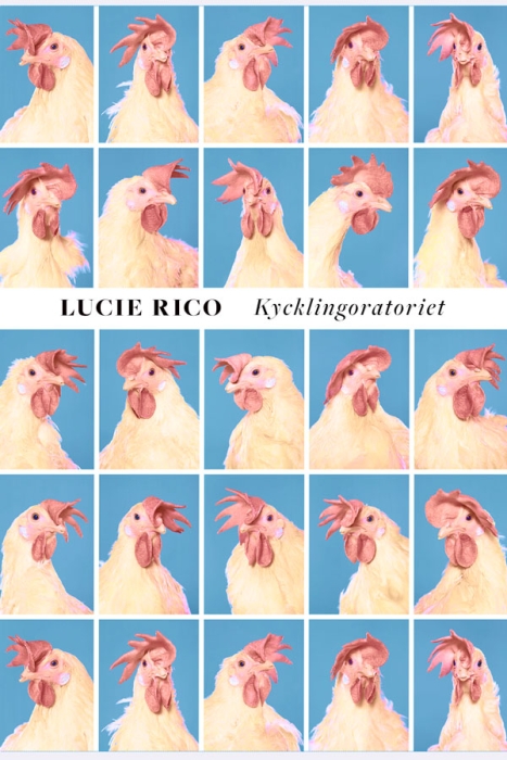 http://www.annamezey.com/files/gimgs/th-44_Rico-skiss.jpg